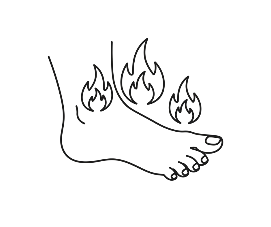Ardor